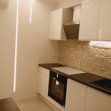 100 No 1 Ogrod W Centrum דירה שצ'צ'ין