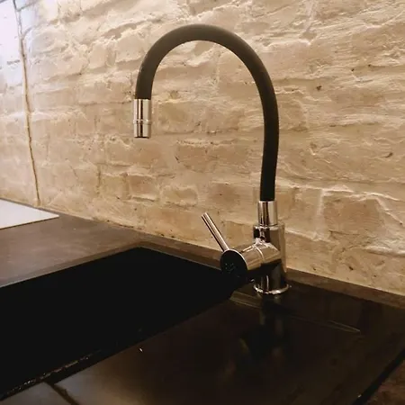 דירה 100 No 1 Ogrod W Centrum *