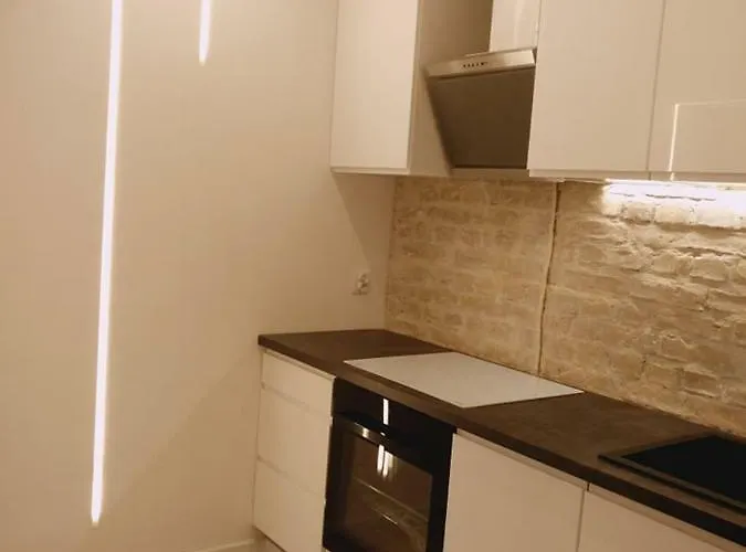 100 No 1 Ogrod W Centrum 아파트 슈체친